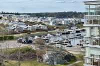image11