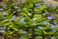 image12